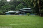 DSC_7918.jpg