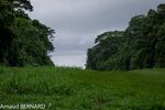 DSC_7919.jpg