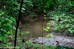DSC_7921.jpg