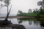 DSC_7926.jpg