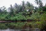 DSC_7927.jpg