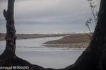 DSC_7928.jpg