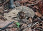 DSC_7934.jpg