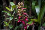 DSC_6951.jpg