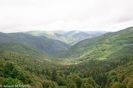 DSC_5387.jpg