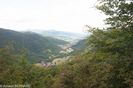 DSC_5403.jpg