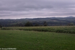 OLYMP_0090.jpg