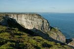 DSC_9387.jpg