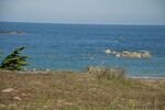 DSC_9405.jpg