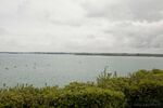 DSC_1281.jpg