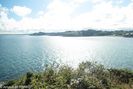 P7042439.jpg