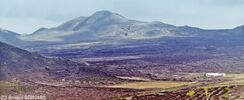 DSC_0023.jpg