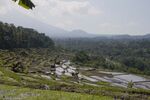 DSC_2678.jpg