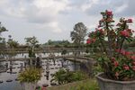 DSC_2710.jpg