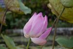 DSC_2717.jpg