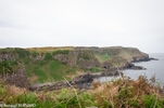 DSC_4986.jpg