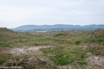 DSC_4932.jpg