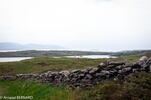 DSC_4974.jpg