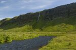 DSC_7030.jpg