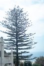 P8053511.jpg
