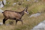 DSC_6702.jpg