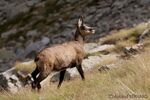 DSC_6703.jpg