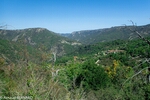 P9091752.jpg