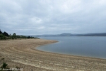 P9091741.jpg