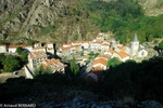 P9091544.jpg