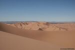 DSC_4187.jpg