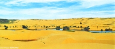 DSC_0016.jpg