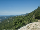 P7250020.webp
