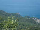 P7250022.webp
