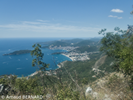 P7250024.webp