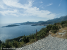 P7250042.webp