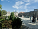 P7250047.webp