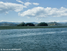 P7250003.webp