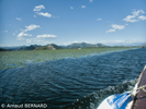 P7250010.webp