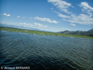P7250012.webp