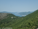 P7220010.webp
