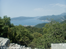 P7220011.webp