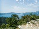 P7220013.webp