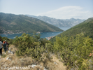 P7220014.webp