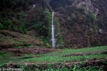 DSC_1413.jpg