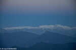 DSC_0803.jpg