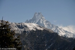 DSC_0862.jpg
