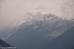 DSC_0892.jpg