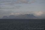 DSC_7724.jpg