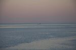 DSC_8148.jpg