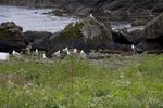 DSC_7861.jpg